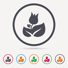 Rose flower icon. Florist plant with leaf symbol. Round circle buttons. Colored flat web icons. Vector