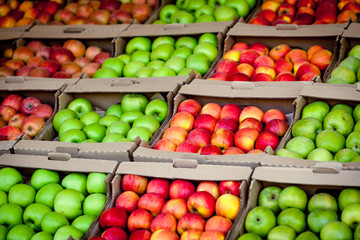 Fototapeta na wymiar apples background. Apples at the market