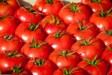 fresh tomatoes. tomatoes background. Group of tomatoes
