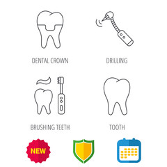 Brushing teeth, tooth and dental crown icons. Drilling tool linear sign. Shield protection, calendar and new tag web icons. Vector