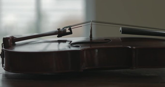 Viola or violin, pan of whole instrument