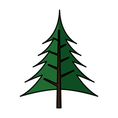 pine tree silhouette icon vector illustration design