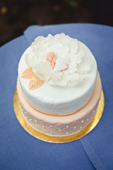 Cake for Birthday for little princess. Decor for baby`s or child`s Birthday party. 