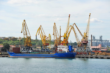 Bulk cargo ship under port crane