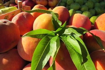 Fresh peaches at the market in Bar-city, Montenegro