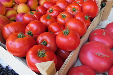 Red tomatoes at the market in Bar-city, Montenegro