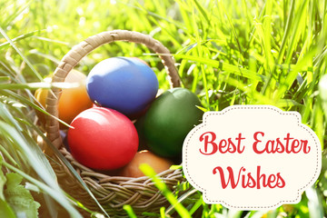 Easter eggs in basket on green grass