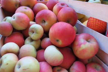 Red apples at the market in Bar-city, Montenegro