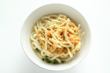 Japanese food, Burdock and carrot Tempura