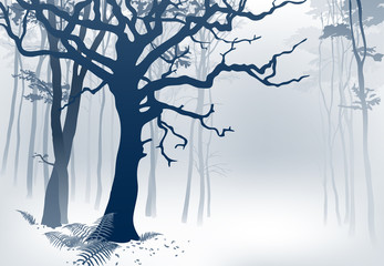 Foggy Forest.
Hand drawn vector illustration of a misty woodland scenery with grandiose oak tree and ferns.