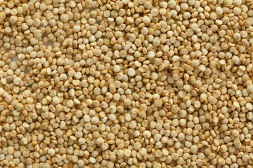 Organic quinoa seeds, closeup