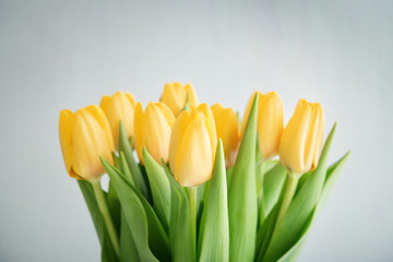 Bouquet of yellow tulips