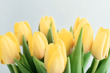 Bouquet of yellow tulips