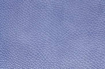 Closeup Leather Background