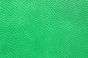Closeup Leather Background