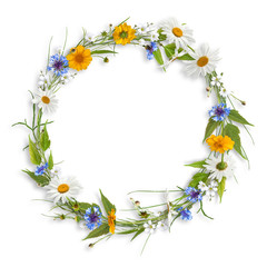 Obraz na płótnie Canvas Circle frame from branches, flowers and grass