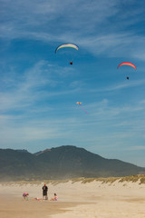 Kites flying high over a sandy beach