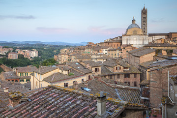 Fototapeta premium silent morning above the roofs and cathedral in Siena in Tuscany in Italy