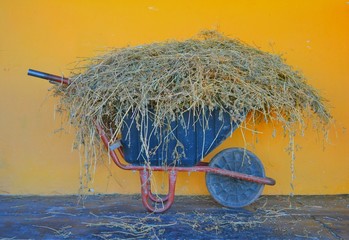 Wheelbarrow