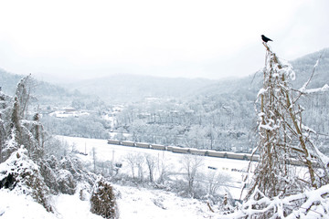 Fototapeta premium Railyards in Snow