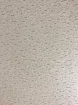 Drop Ceiling Closeup