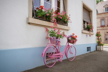 pink bicycle with flower baskets