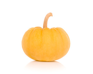 pumpkin on white background