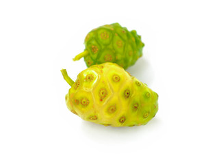 Indian Mulberry leaves on white background