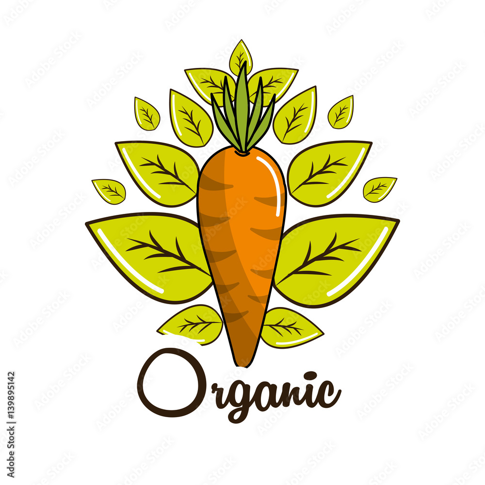 Sticker organic food icon stock