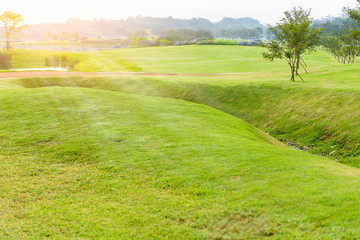 green lawn,garden landscape