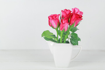 pink rose flower on a background