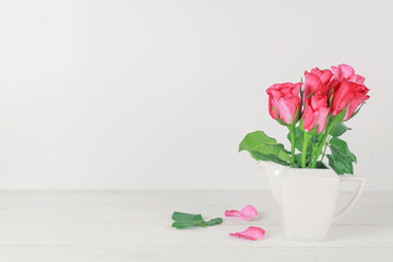 pink rose flower on a background