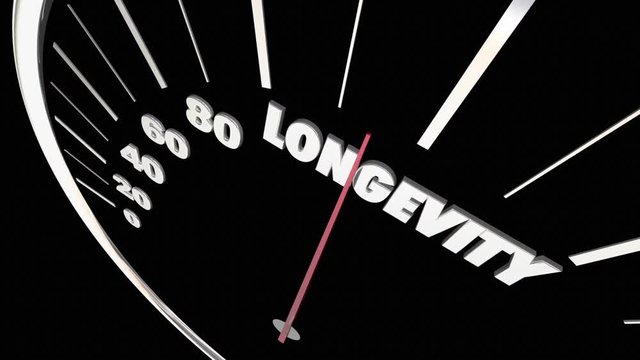 Longevity Lasting Life Span Word Speedometer 3d Animation