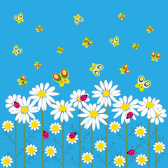 Stylish card with daisies and butterflies on a blue background