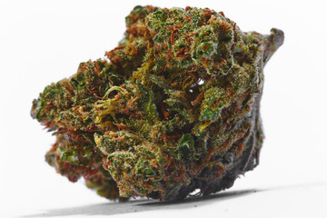 Close up of Super Lemon Jack medical marijuana buds