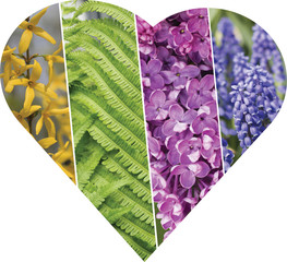Collage of flowers in the shape of a heart. Postcard to Valentine's Day, birthday, celebration.