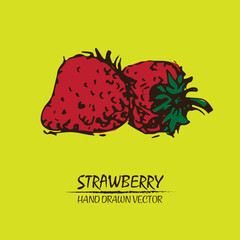 Digital vector detailed color strawberry hand drawn retro illustration collection set. Thin artistic linear pencil outline. Vintage ink flat style, engraved simple doodle sketches. Isolated objects