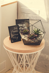 Bedside table with frames and plants
