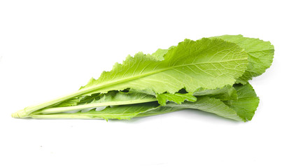 fresh turnip tops (turnip greens) on a white background