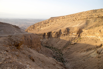 Desert landscape