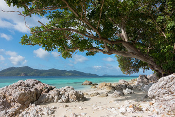 Fototapeta na wymiar Rocky White Tropical Beach With Brilliant Tuquoise Sea - Coron, Palawan - Philippines