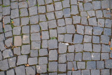 Obraz premium Textured pavers, St Petersburg, Russia.