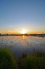 Sunset with beautiful sky on lake, Thailand