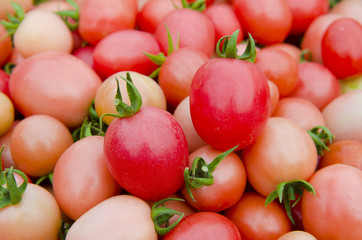 Group of fresh tomatoes