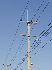 Power line with blue sky