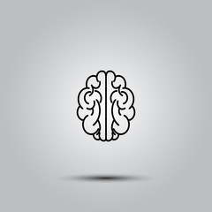 human brain on white