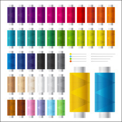 Set of Colorful Spools of Thread and Needles for Sewing and Needlework
