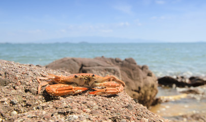 beach and sea