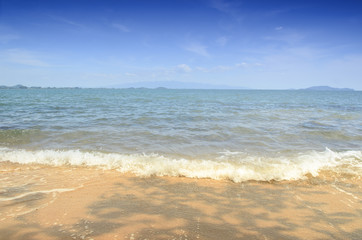 beach and sea