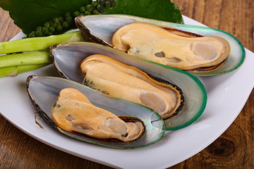 New Zealand Mussels